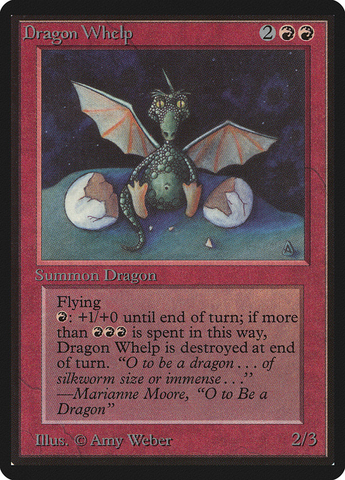 Baby dragon!